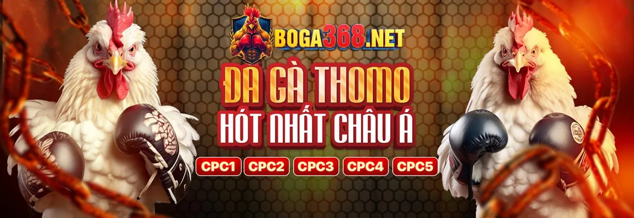 Hình ảnh tiêu đề blog Sinbet Chính Thức