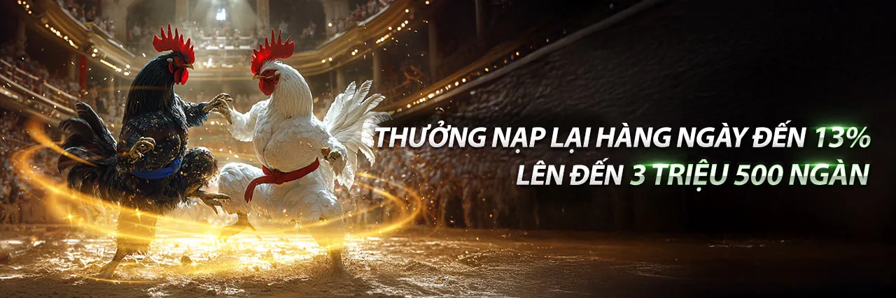 Các chương trình khuyến mãi độc quyền và ưu đãi hấp dẫn tại Sinbet chính thức