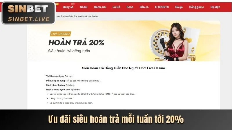 Đánh giá toàn diện nền tảng chính thức của Sinbet